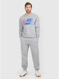 Pánské tepláky typu jogger model 21877671 - 4F