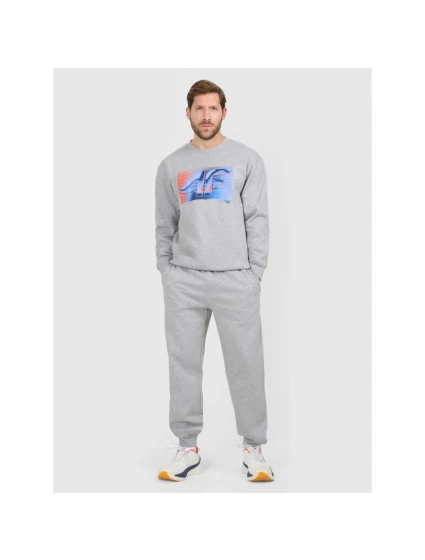 Pánske tepláky typu jogger 4F 4FRAW25TTROM1832-27M