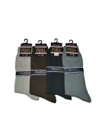 Pánske ponožky Regina Socks Passa