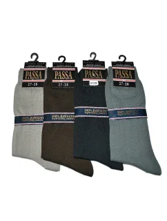 Pánské ponožky model 7461227 - Regina Socks