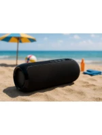 BLUETOOTH  FM   USB-C model 21861629