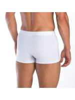 Pánské boxerky M2XL model 17043377 - Lama Pánské boxerky M2XL model 17043377 - Lama