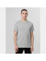 Tričko M model 17207106 27M pánské - 4F