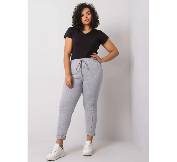 Tepláky RV DR 6300.19 sivá