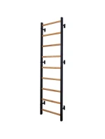 GYMNASTICKÝ REBRÍK S NASTAVITEĽNOU TYČOU A ZÁBRADLÍM BENCHK 732B