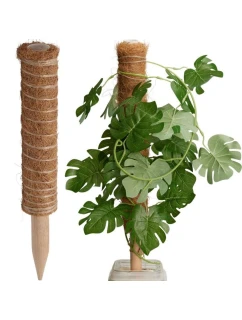 PODPORA PRE KOKOSOVÉ RASTLINY 50CM PROGARDEN