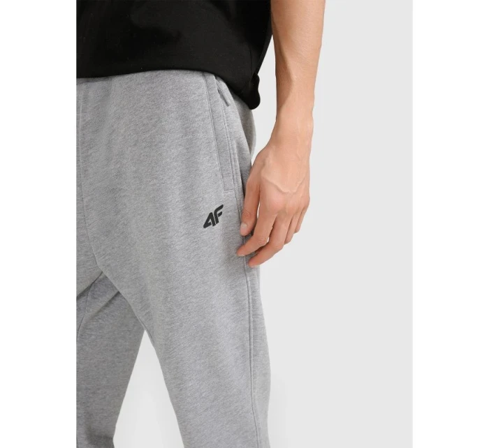 Pánske tepláky typu jogger 4F 4FRMM00TTROM1624-27M