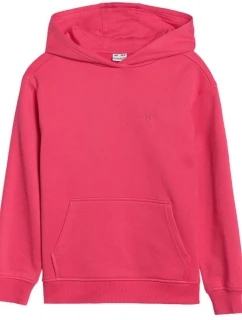 Jr Mikina JWSS25TSWS 55S model 21134886 - 4F