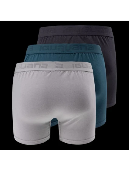 Pánské boxerky model 21352721 3PACK - Iguana