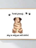 Personalizovaný magický fotob obraz v ráme – 40x50 – ilustrácie domácich miláčikov