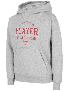 Chlapecká mikina Jr HJZ22 model 17719523 27M - 4F