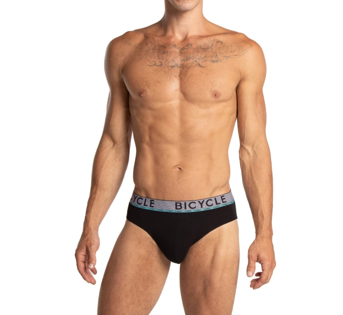 PÁNSKÉ SLIPY STANDARD model 21318221 2PACK - Lama