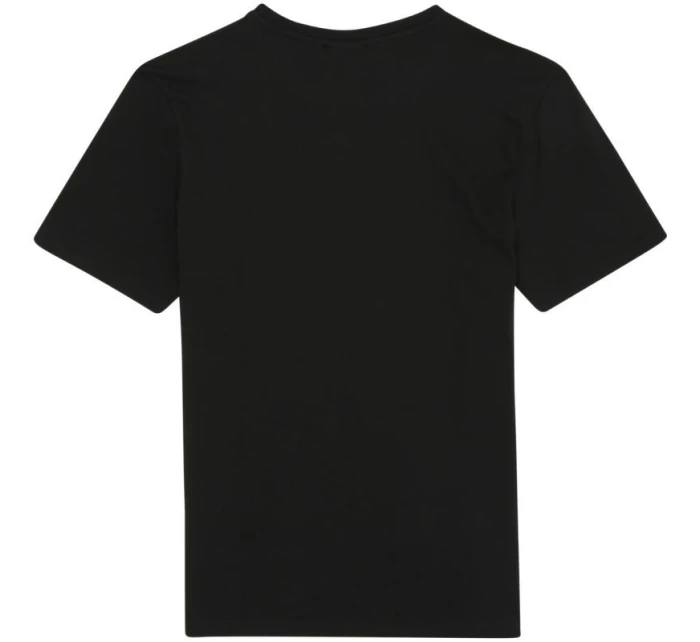 pánské tričko 2 černá, šedá  pánské model 21343806 - Fila