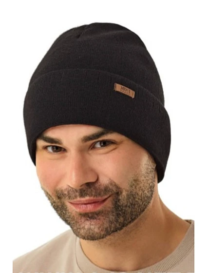 CAP model 21776178 - AJS