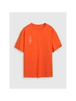 Pánské tričko oversize s potiskem model 21436916 pánské - 4F