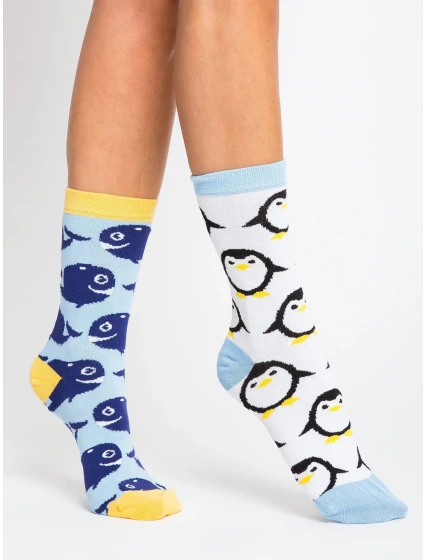 Ponožky WS SR 5542.08X viacfarebné