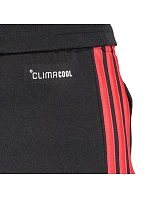 Pánske tréningové šortky adidas Tiro 26 League black and red JY9716