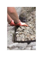 BORDER FLEX ČIERNY HREBEŇ