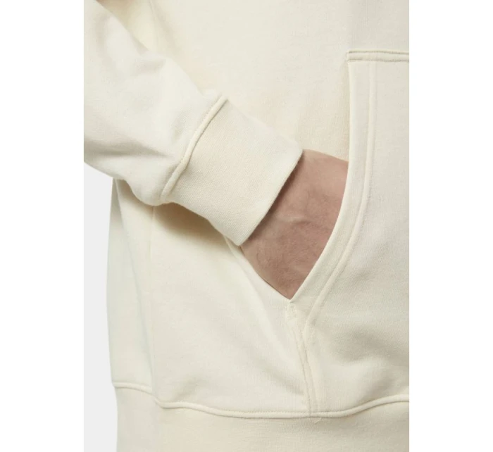 Helly Hansen Core Graphic Sweat Hoodie M 53924 034 Helly Hansen Core Graphic Sweat Hoodie M 53924 034