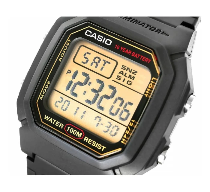 Pánské hodinky model 21804753 + BOX - CASIO Pánské hodinky model 21804753 + BOX - CASIO