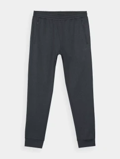 Pánské sportovní kalhoty 4F