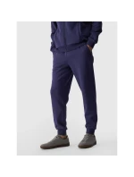 Kalhoty M model 21425801 - 4F