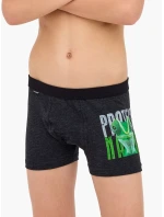 Boxerky Young Boy model 21322308 Protect 2 134164 - Cornette