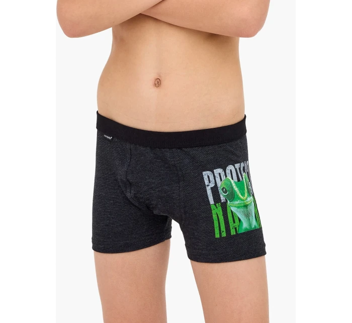 Boxerky Young Boy model 21322308 Protect 2 134164 - Cornette