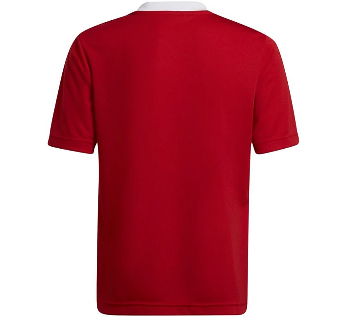 Detské tréningové tričko Entrada 22 Jsy Jr H57496 - Adidas