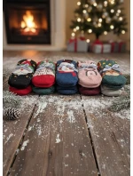 model 21774942 Vánoční ponožky 3542 A'2 - WiK