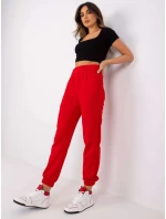 Tepláky RV DR model 17035036 červená - FPrice