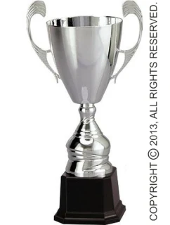 model 21827644 - Tryumf