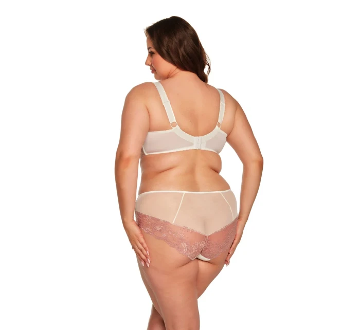 ČLÁNOK 1244 RANITA BRIEFS ČLÁNOK 1244 RANITA BRIEFS