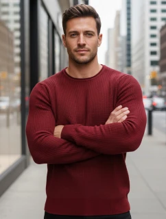 Pánský vínový svetr model 21982676 - FashionStreet