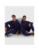 Unisex mikina s kapucňou 4F 4FWAW24TSWSU1314-30S