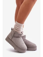 Dámské Sněhule Na Platformě Zateplené Kožíškem Šedé model 21672076 - Boto