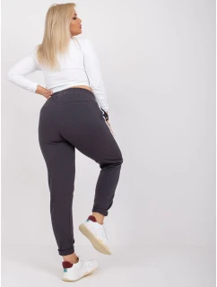 Tepláky RV DR 6643.95 grafit