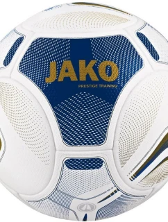 Míč  Training model 21363378 - Jako