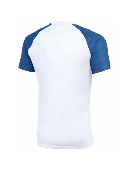 Pánské tričko DriFit Academy II  103 pánské model 21917641 - NIKE