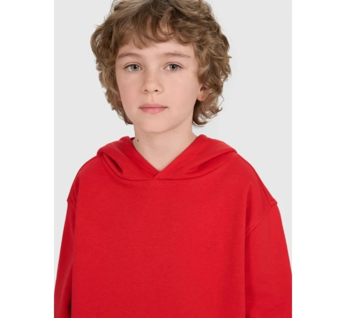 Mikina JUNIOR model 21735848 - 4F