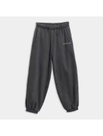 Chlapecké tepláky joggers model 21736539 - 4F