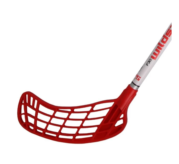 100  hůl model 20898309 - MPS