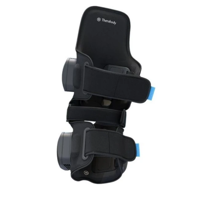 Knee model 21863675 Knee model 21863675