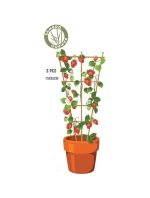 NA  75 CM model 21858613 - PROGARDEN
