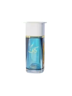 pánský parfém 100 ml model 21337458 - Ahmed Al Maghribi