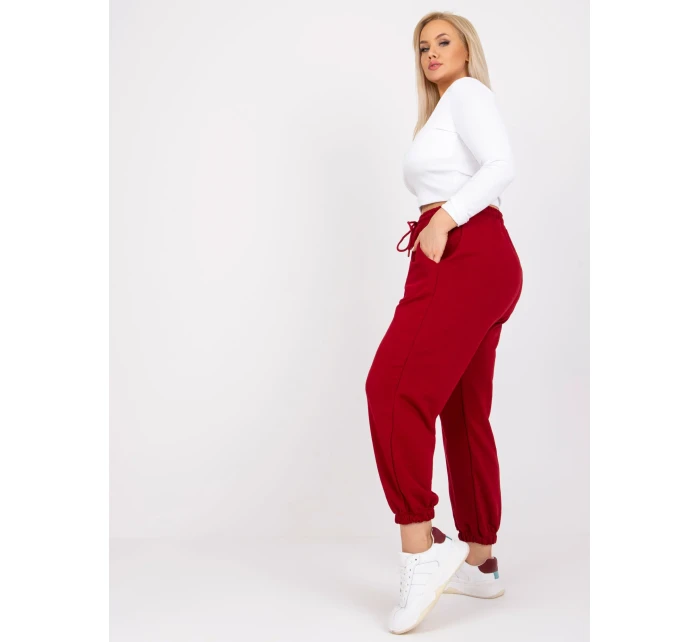 Tepláky RV DR 6331.86 gaštanová