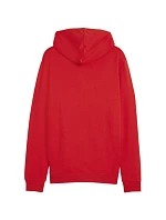 Puma Team Goal Casuals Hooded M 658595 01