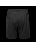 Pánske šortky HISAM