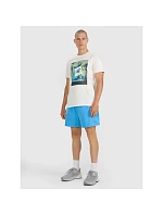 Pánske tričko s potlačou 4F 4FRSS25TTSHM2846-12S