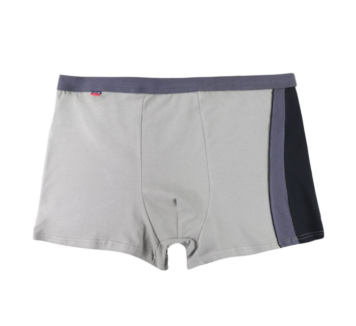 Pánske boxerky Plus Size 11 svetlo šedé s pruhom